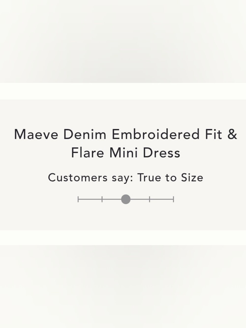 Maeve Denim Embroidered Fit & Flare Mini Dress - Picture 5 of 9